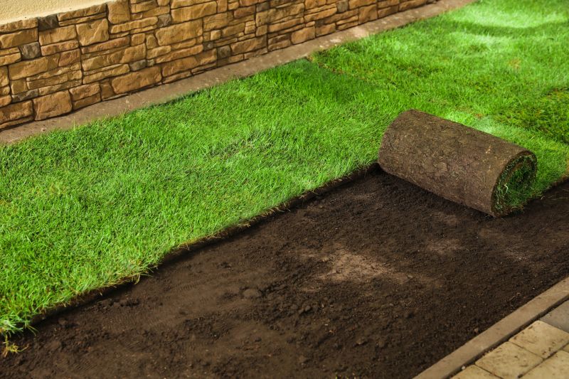 Turfing Service in Aiken, SC