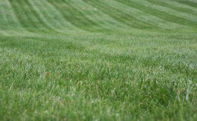 Improve the Appeal of Your Property with Lawn Installation!