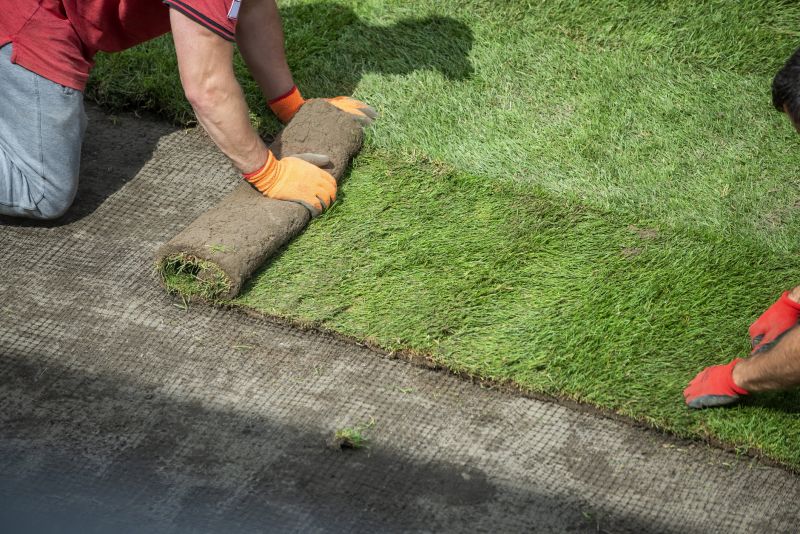Lawn Installation