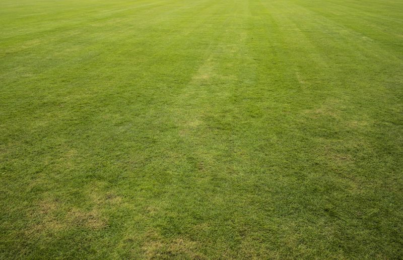 Lawn Installation detail