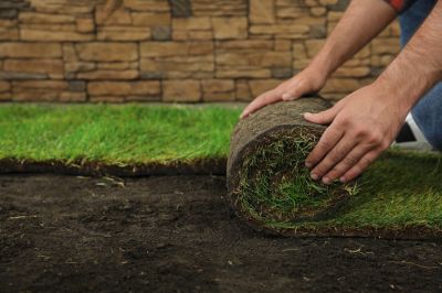 Get Your Lawn Sodded to Install a New Lawn!
